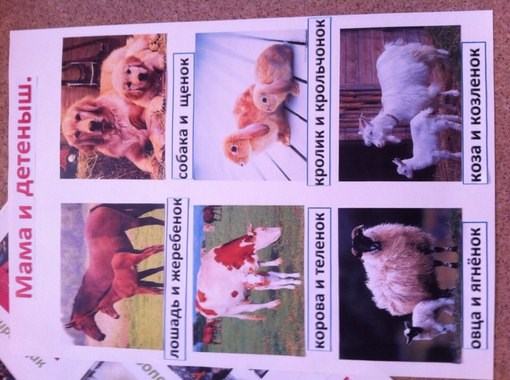 конспект урока: классный час